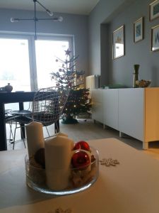 2017-12-20 11.42.22.jpg